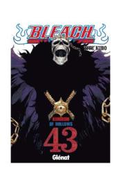 Bleach 43